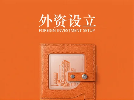 外国人在中国可开展业务结构